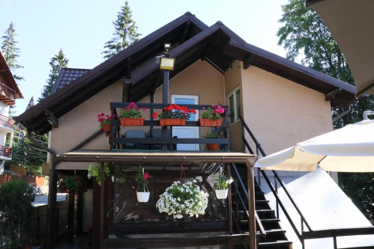 Casa Anne Marie Hotel Sinaia Exterior foto